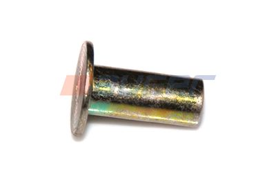 Neet, trummelpiduriklotsid