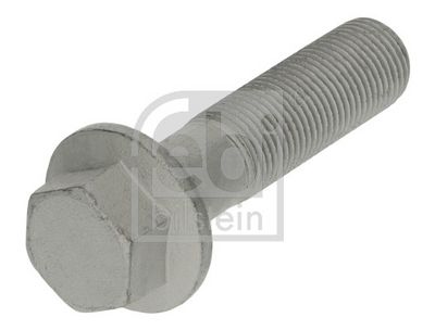 Kruvi,piduriketas