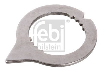 Kaitseseib,hoovastik