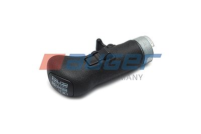 Käigukanginupp