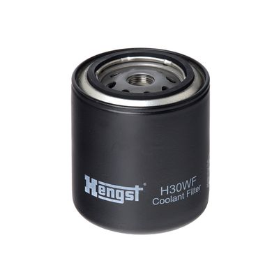 Jahutusvedeliku filter